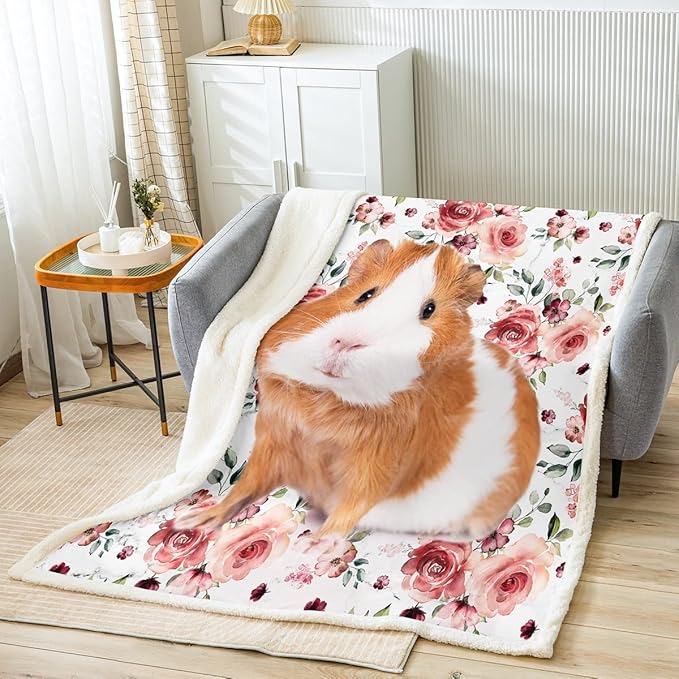 Guinea Pig Sherpa Blanket for Boys Girls - Red Roses Baby Size, Cute Animals Fleece With Botanical Blossoms Flowers Florals, 3D Pattern Printed Throw for Kids, Couch or Chair Decor