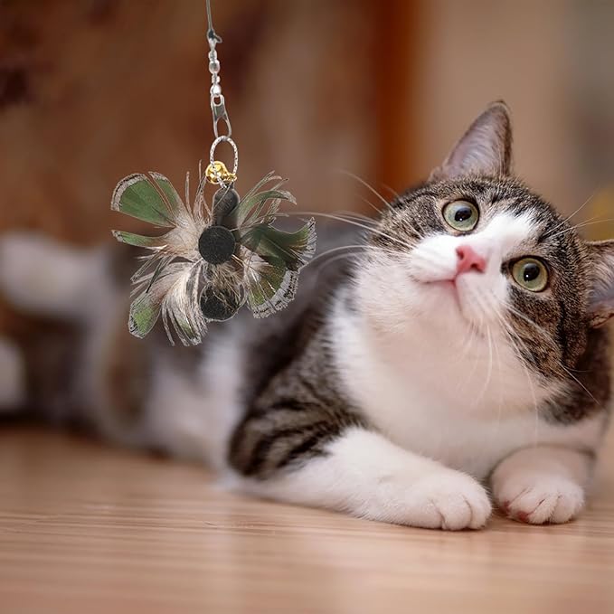 FRCOLOR 6pcs Replacement Head for Cat Teaser Toy, Cat Fishing Pole Toy Attachment Interactive Cat Toy Cat Teaser Toy Feathers Cat Toys