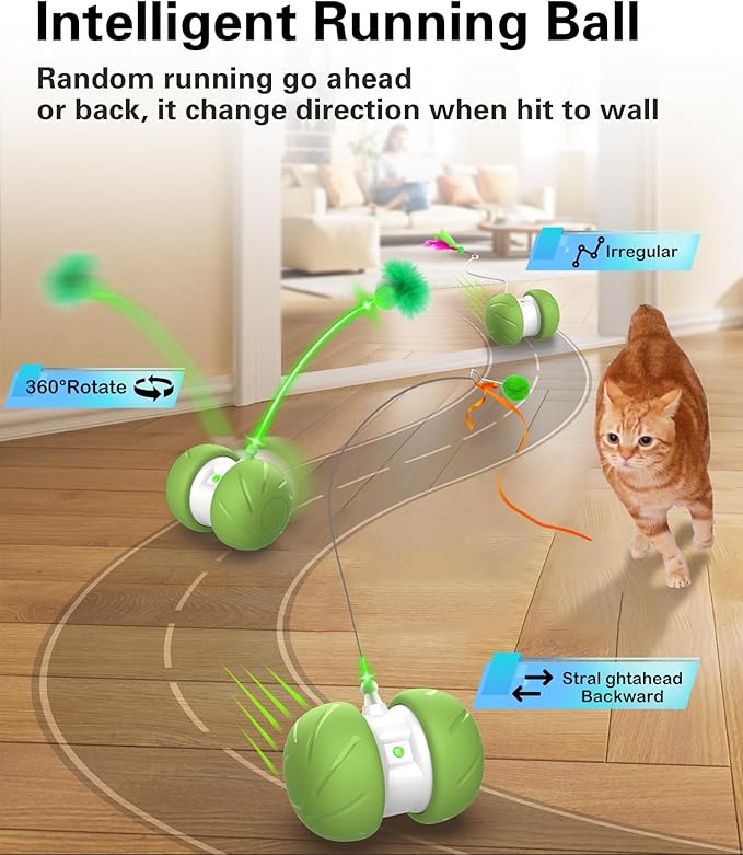 Interactive Cat Toys for Indoor Cats, Motion Activated Cat Toys, Automatic Cat Toy with Extra Long Feather Wand, Cat Mouse Toys, USB Rechargeable (Green)