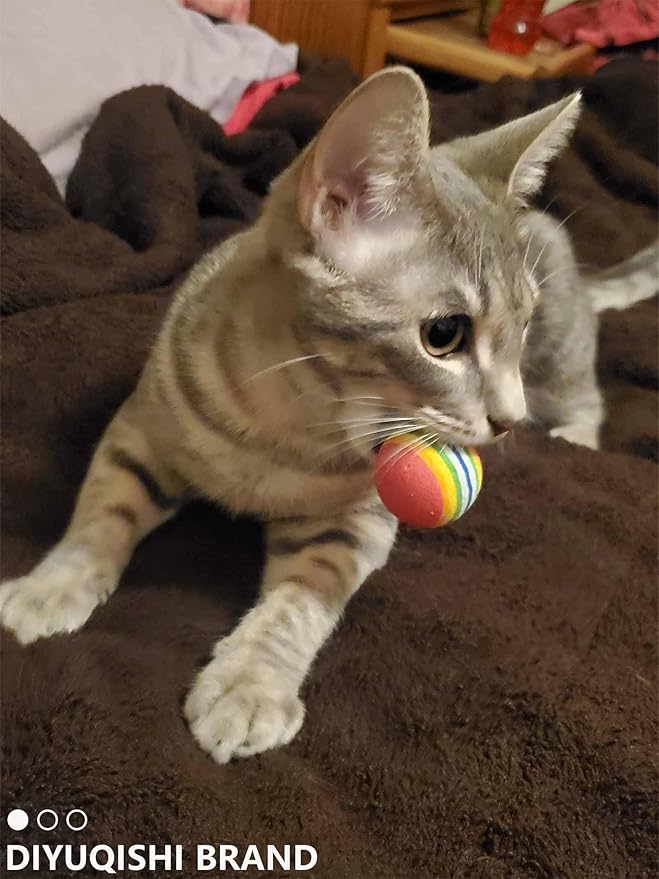 Classic Cat Toys for Indoor Cats, 10 Pcs, 1.5''~2.2'', Plastic Cat Ball with Bell to Arouse The Cat's Interest, for All Breed Sizes