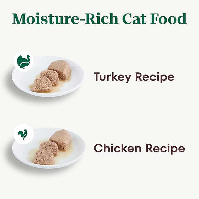 Nutro Wet Cat Food Paté Multipack: Turkey Recipe and Chicken Recipe (12) 2.64 oz. Trays (Pack of 2)