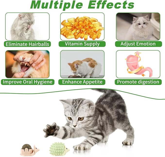 CCINEE 2pcs Catnip Balls for Cats Wall Catnip Toys Edible Cat Toys for Cat Lick Safe Healthy Kitten Chew Toys Teeth Cleaning Dental Cat Toys