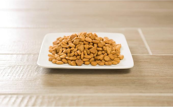 Purina Pro Plan Adult Hairball Control Cat Food Chicken and Rice Formula - 16 lb. Bag