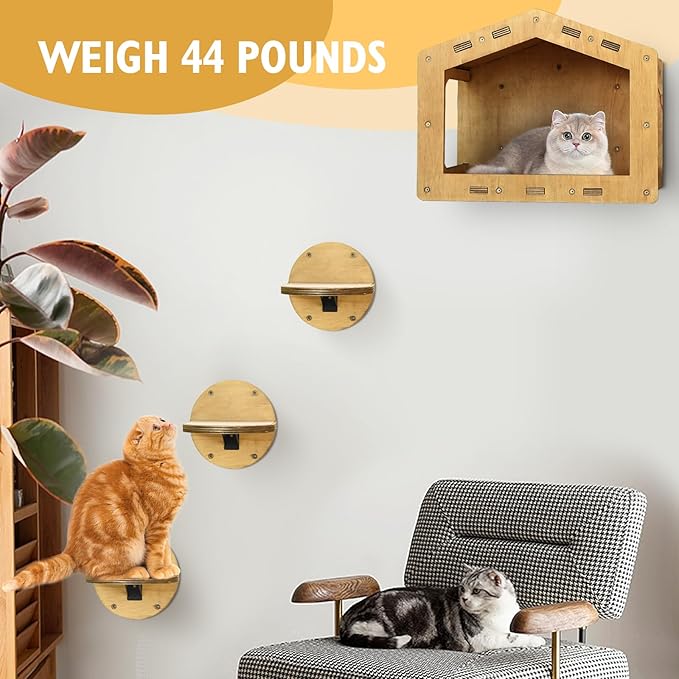 Cat Wall Shelves, Cat Shelves and Perches for Wall, Cat House Fit Cat Up to 25Lbs, 1 Cat Condo House and 3 Large Cat Steps with Scratching Pad, Cat Climbing Shelf for Indoor, Cat Wall Furniture
