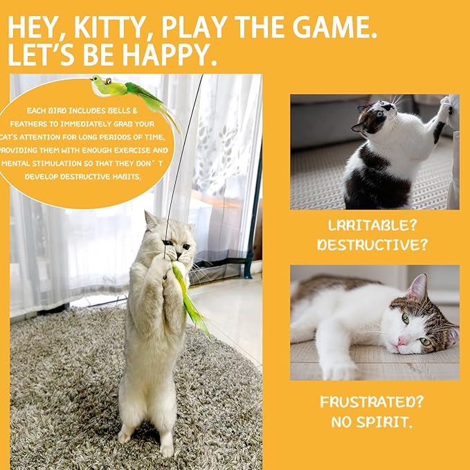 Cat Toy Wand Interactive Toys for Indoor Cat, Wire Version, Natural Bird Feather Ball Toys, 4-in-1 Refill Pet Dancing Playing Toy, cat Lures，for Indoor Cats (4 in 1, Forest Birds)