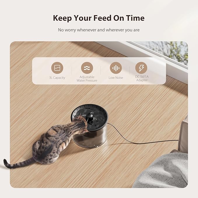 Automatic Cat Feeder and Water Fountain, Timed Pet Dry Food Dispenser, Programmable Portion Control, 1-6 Meals Per Day, Cat Fountains for Drinking with Filter, Small Pets (3L Combo)