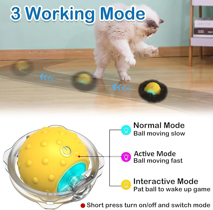 Interactive Cat Toys for Indoor Cats,Self Rolling Cat Ball in Play Mat,Automatic Motion Activated Moving Toy Hide and Seek Chase Game for Bored Cats,Real Chirp Birds,Rechargeable