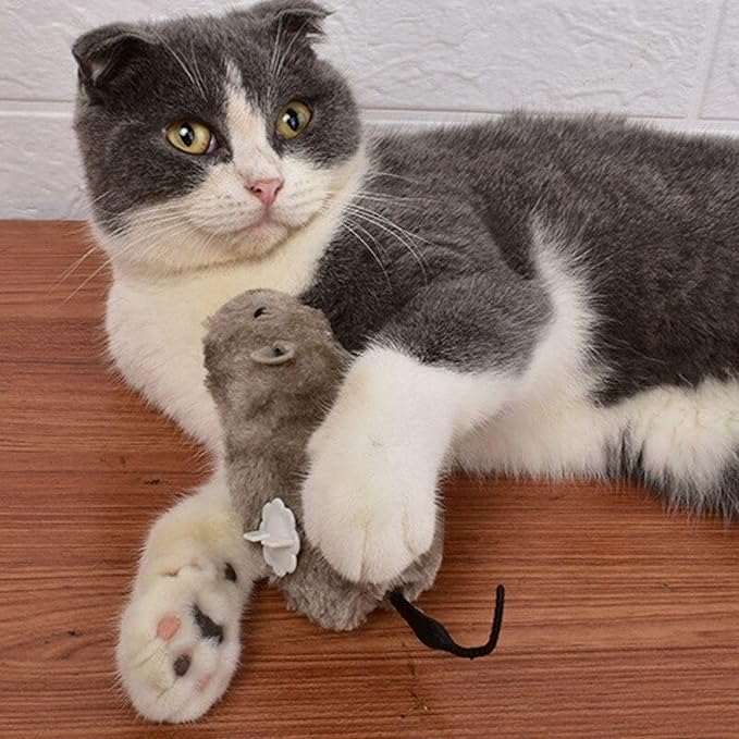 1 Pc Random Color Furry Mice Cat Toy Wind Up Toys Realistic Mouse Toys Funny Moving Toys, Cat Mice and Animals Toys Interactive Play Mouse Toy for Cat Kitten Mouse Cat Toy