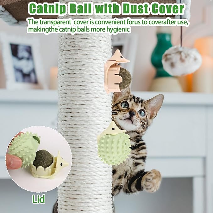 CCINEE 2pcs Catnip Balls for Cats Wall Catnip Toys Edible Cat Toys for Cat Lick Safe Healthy Kitten Chew Toys Teeth Cleaning Dental Cat Toys