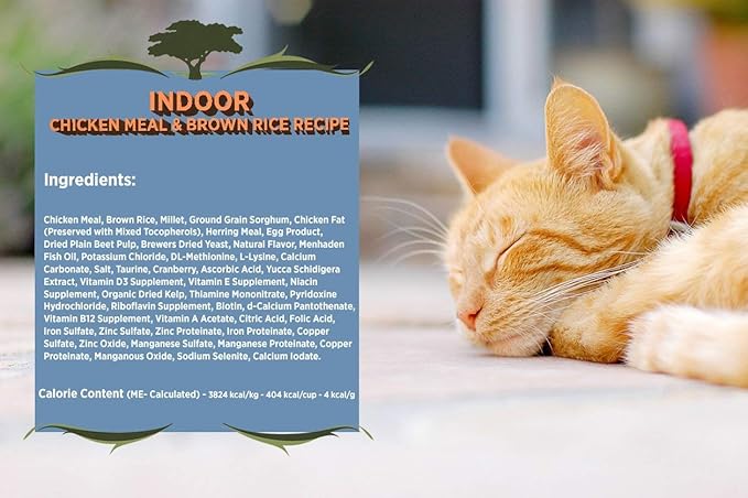 Blackwood Pet Cat Food Made In USA [Super Premium Dry Cat Food For Adult, Indoor, and Senior Cats], Chicken Meal and Brown Rice Recipe