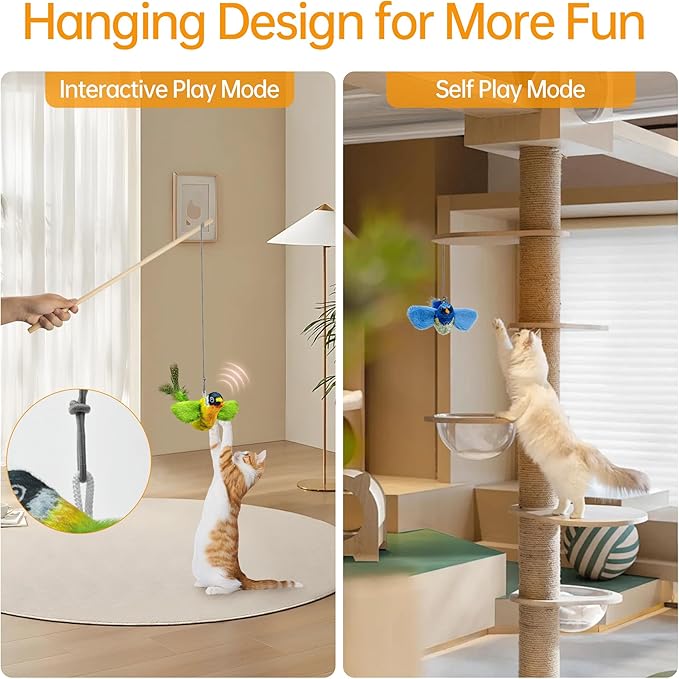 Chirping Bird Cat Toys Hanging Cat Feather Toy - Catnip Interactive Cat Toys for Indoor Cats - Automatic Cat Toy for Cat Exercise & Kicker to Self Play (Chroma)