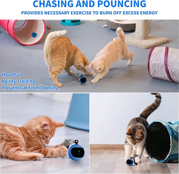 Interactive Cat Ball Toy with Remote Control, Automatic Moving Cat Toy Ball with Feather Tail, Electric Cat Puzzle Toy for Chasing and Hunting