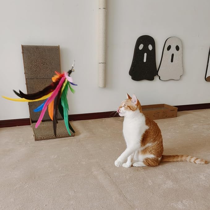 Da Bird Feather Refill - 2 Extra-Large Natural Feather Replacement Attachments(13.8inch) and 4 Feather Toys Refills(5.8inch) for Indoor Cats (6PCS)