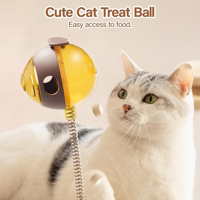 MEWOOFUN Cat Toy, Interactive Cat Toys for Indoor Cats and Kittens, Cat Treat Toy with Circle Ball Track
