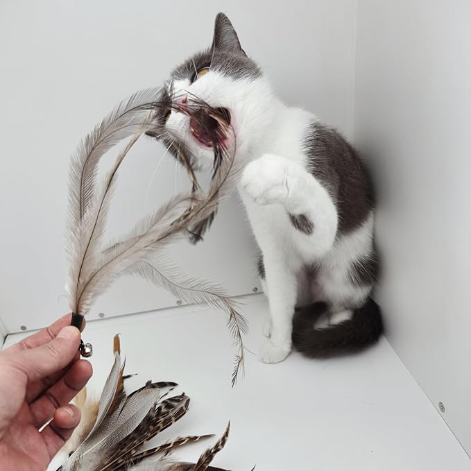 Natural unstained Feathers,8PCS Cat Feather Toys Replacement Cat Toy Wand Refills, Cat Feathers Refill for Indoor Cats,Perfect Wand Attachments