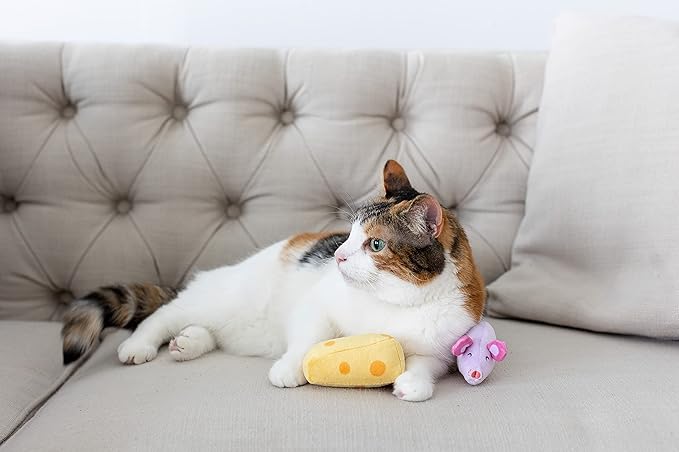 Pearhead Hide and Squeak Cat Toy Set, Crinkle and Rope Catnip Cat Toy Set, Cat Owner Playtime Pet Accessory, Pet Toys, Cat Teaser Toys, Cat Owner Pet Toy Sets, Must Have Pet Accessories For Pet Owners