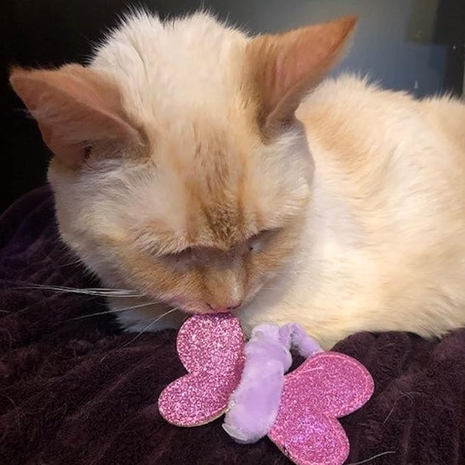 HuggleKats Cat Toys - Kitten Toys, Catnip Toys, Cat Toys for Bored Indoor Cats, Cat Enrichment Toys for Boredom, Perfect for Moving, Exercise, Biting & Chewing - Bindies (2 Pack)