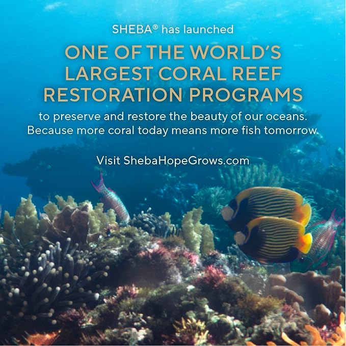 SHEBA PERFECT PORTIONS Cuts in Gravy Wet Cat Food Trays (12 Count, 24 Servings), Roasted Chicken Entrée, Easy Peel Twin-Pack Trays