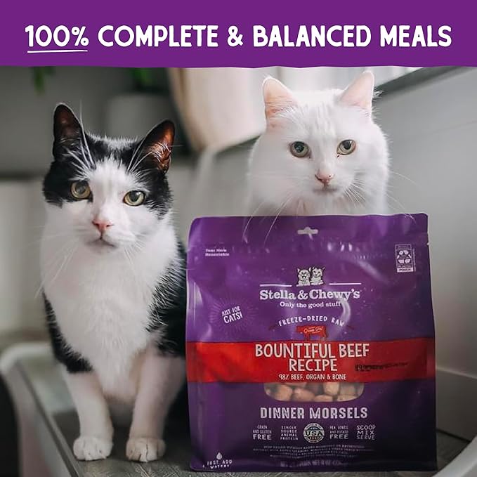 Stella & Chewy's Freeze-Dried Raw Cat Dinner Morsels – Grain Free, Protein Rich Cat & Kitten Food – Bountiful Beef Recipe – 18 oz Bag