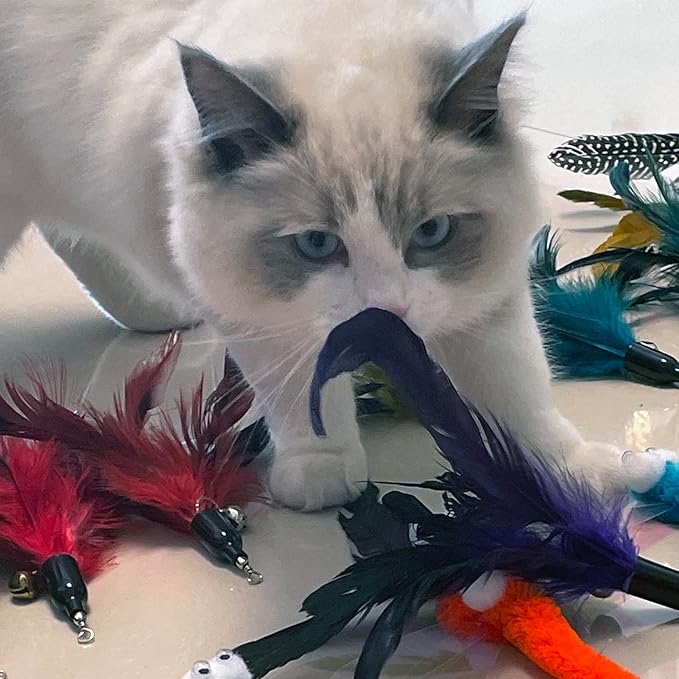Cat Feather Toys Replacement Cat Wand Refills,，Interactive Cat Wand Toy Replacement,Cat Worms Refill,Cat Wand Toy Assorted Teaser Refills (13Pcs)