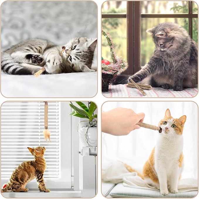 Bissap 10 PCS Silvervine Chew Sticks for Cats, Catnip Chew Sticks Cat Toys for Indoor Cat Kitten Teeth Grinding Interactive Feather Toys for Aggressive Chewers Dental Care