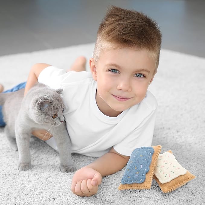 Glaciart One Wool Pop Tart Cat Toy Set with Catnip (2PCS) | Cute Cat Toy for Interaction & Boredom Relief, Encourages Cats to Exercise & Play | Filled w/Organic Catnip to Help Sooth or Reduce Anxiety