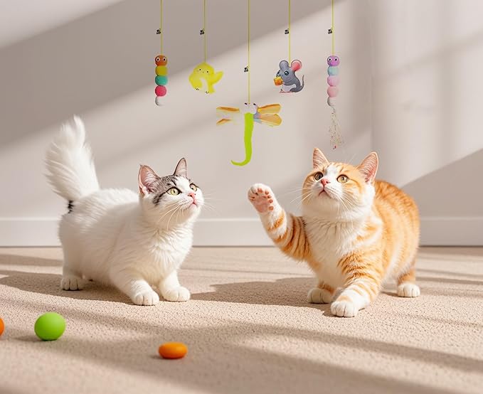 Kalimdor Interactive Cat Feather Toys 5pack,Retractable Teaser Toy,Hanging Interactive Toys for Indoor Cats Kitten Play Chase Exercise, Kitten Mental Exercise Toys