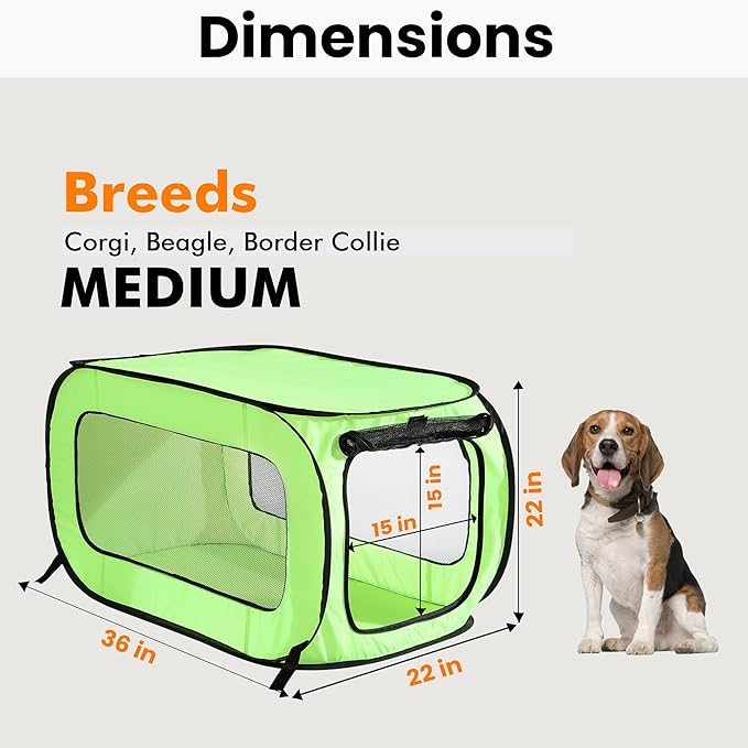 Beatrice Home Fashions Portable, Collapsible, Pop Up Kennel Travel Cat and Dog Crate, 36" L x 22" W x 22" H, Green