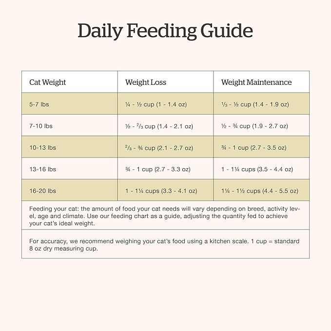 Now Fresh Grain-Free, Dry Cat Food, Turkey, Salmon and Duck Kibble, Real Meat and Fish Senior Recipe, 8 lb Bag