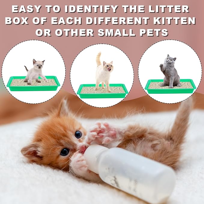 10pcs Kitten Litter Box, Plastic Cat Litter Trays Colorful Kitten Litter Pan Cat Waste Tray for Indoor Kittens (5 Colors)