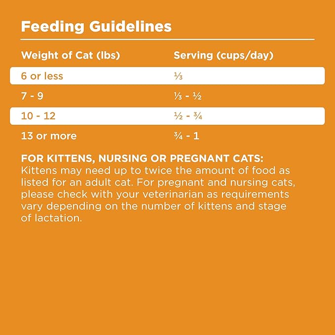 BIXBI Rawbble Dry Food Chicken Recipe for Cats, 10lb