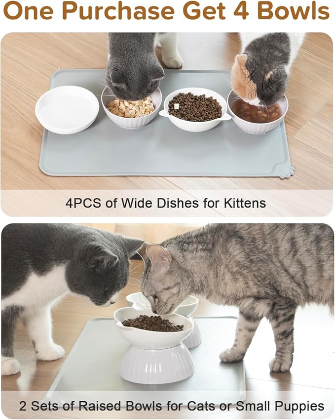 2 Ceramic Raised Cat Food Bowls, Elevated Cat Food and Water Bowl Set, Pet Bowl for Indoor Cats and Small Dogs, Anti-Vomiting Cat Dog Feeder with Plastic Base, Dishwasher Safe (Pure White)