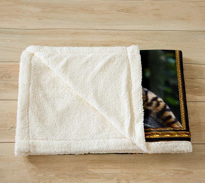 Feelyou DragonLi Fleece Throw Blanket for Bed Sofa Couch Cute Cat Plush Blanket Twin 60"x80" Kawaii Kitten Sherpa Blanket Gift for DragonLi Lover Fuzzy Blanket Flannal Blanket