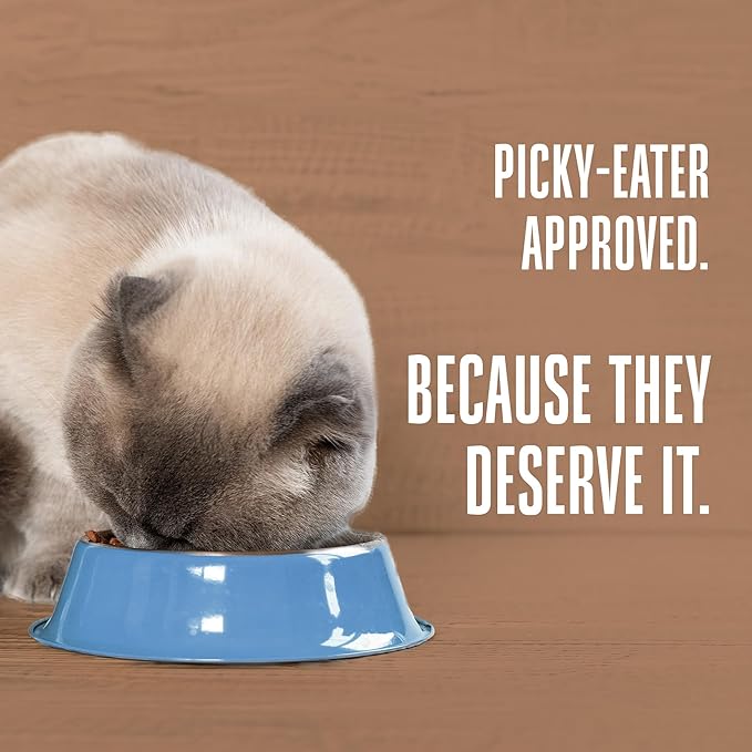 Whole Life Pet Freeze Dried Cat Food - Bland Diet for Cats with Sensitive Stomachs, Digestive Support, Anti-Diarrhea & Vomit Remedy – Human-Grade, Quick & Easy Chicken and Rice Meal, Ready in Minutes