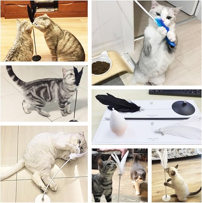 Pidan Studio Shake-Shake Self Play Feather Teaser Cat Toy Self Adhesive/Suction - Entertain Your Cat While You're Away (White)
