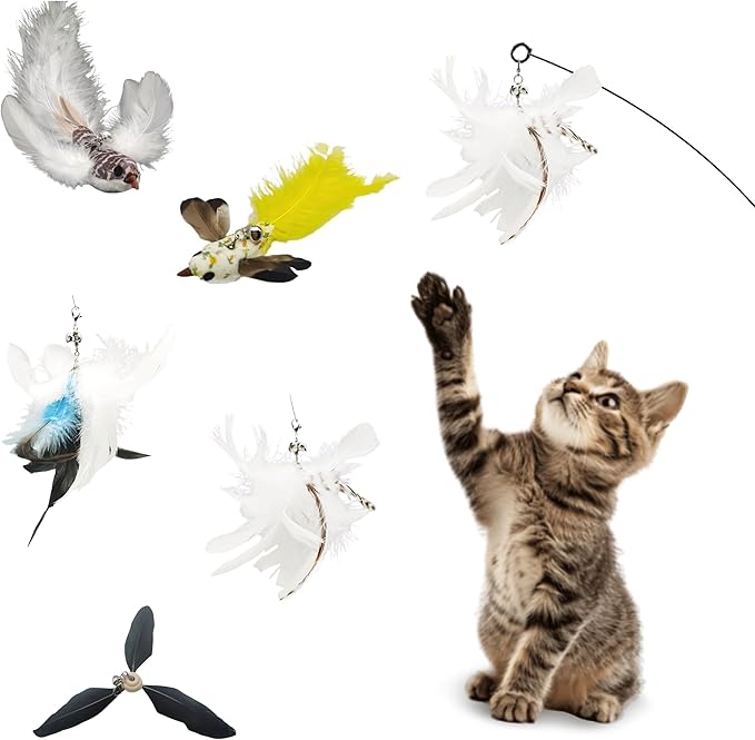 Variety Play Cat Toys Set, 5 Pack, Refills for Cat Wand Toys, Cat Fishing Poles, Spring Wires, Door/Wall Hang Ropes. 2 Bird Cat Toys, 2 Feather Cat Toys & Windmill - Bells & Easy Clip-On
