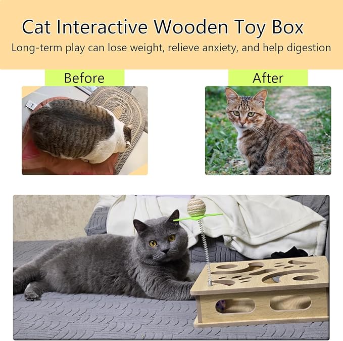 Interactive Cat Toys Puzzle Wood Box, Indoor Sports Entertainment Hunting Cat Toys, Stimulate Cat Sports Vitality (Burlywood)
