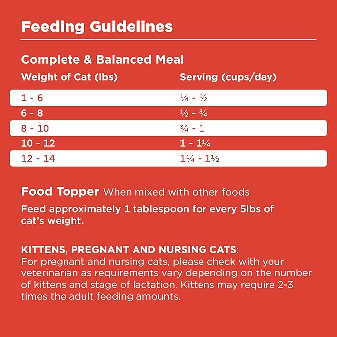 BIXBI Rawbble Freeze Dried Cat Food, Beef Recipe, 10 oz - 97% Meat and Organs, No Fillers - Pantry-Friendly Raw Cat Food for Meal, Treat or Food Topper - USA Made in Small Batches