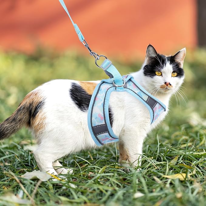 AMIR Cat Harness and Leash for Walking, Escape Proof Breathable Vest Adjustable Harnesses for Cats and Small Dogs, Easy Control Reflective Straps Pet Jacket, Blue, Size S