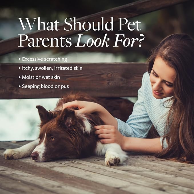 Veterinary Formula Clinical Care Hot Spot & Itch Relief Medicated Shampoo for Dogs and Cats 128oz – Helps Alleviate Sensitive Skin, Scratching, and Licking of Coat