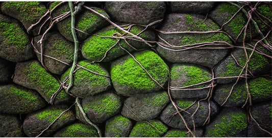 AWERT 30x12 inches Stone Aquarium Background Rock Fish Tank Background Rocky Terrarium Background Vinyl