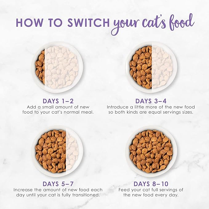 Aurora Pet Bundle Pack (4) FF Gourmet Dry Cat Food with Savory Chicken and Turkey (16 oz. Bags) Plus AuroraPet Wipes