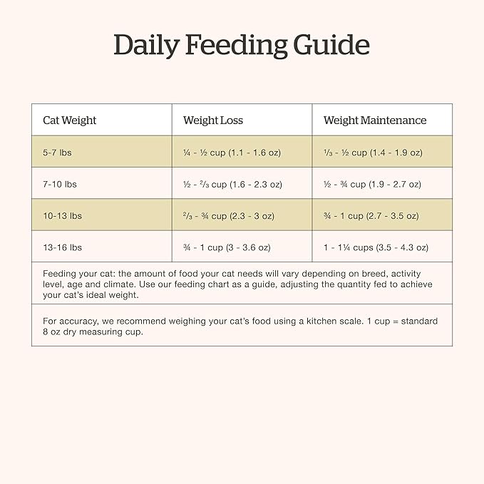 Now Fresh Grain-Free, Dry Cat Food, Turkey, Salmon and Duck Kibble, Real Meat and Fish Adult Recipe, 8 lb Bag