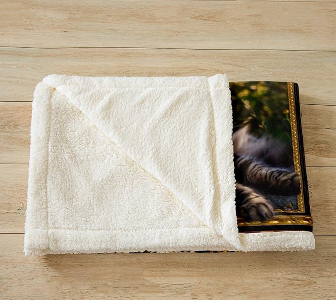 Feelyou Maine Coon Fleece Throw Blanket for Bed Sofa Couch Cute Cat Plush Blanket 40"x50" Kawaii Kitten Pet Sherpa Blanket Gift for Maine Coon Lover Fuzzy Blanket Flannal Blanket