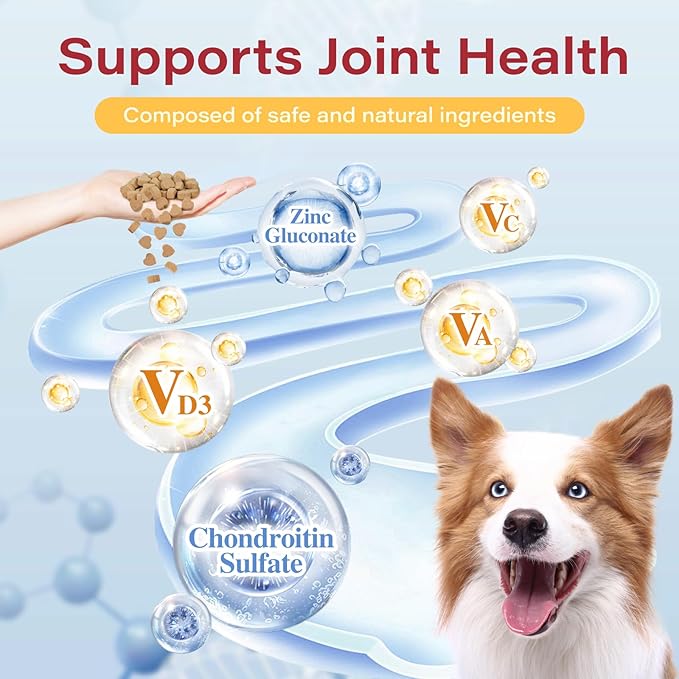 2-Pack Hip and Joint Supplement for Dogs, 200 Chews - Glucosamine Chondroitin for Dogs, Joint & Hip Health, Arthritis Pain Relief, Supports Immune System & Vitamins - Ideal for All Ages & Large Breeds