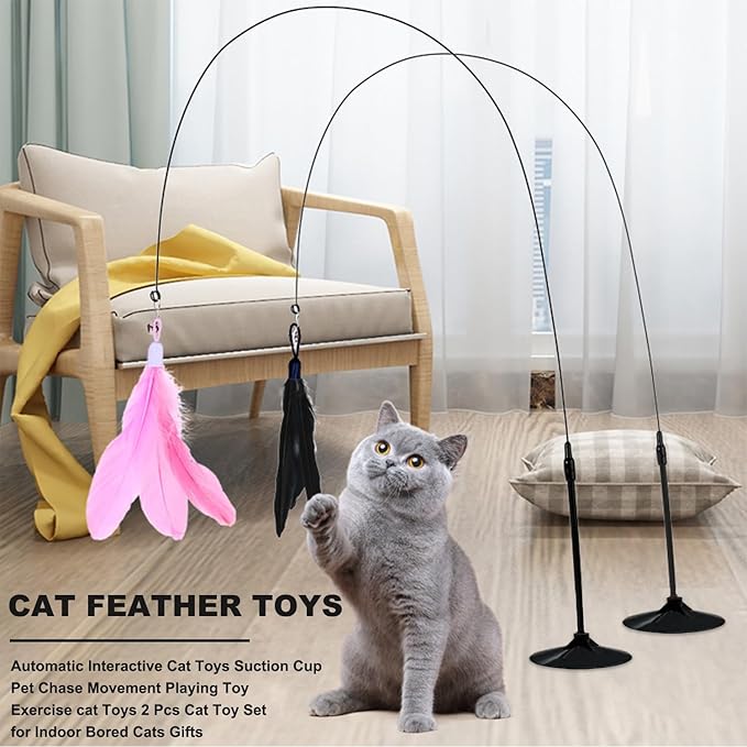Interactive Cat Toys for Indoor Cats,4PCS Retractable Cat Feather Toy, 2PCS Silvervine Sticks Catnip Toys for Teeth Cleaning,2PCS Bouncy Ball Cat Toy w/Tail,Kitten Toys for Chasing Exercise