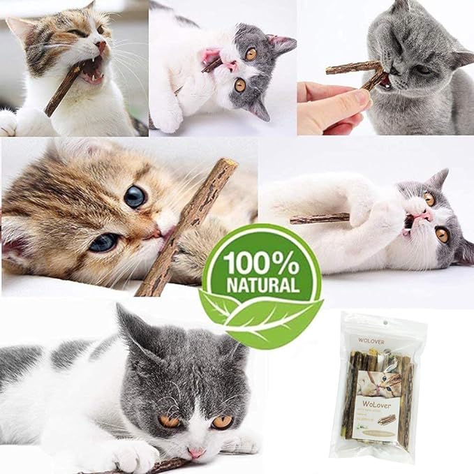 Silvervine Sticks for Cats, Natural Catnip Sticks Matatabi Chew Sticks Teeth Molar Chew Toys for Cat Kitten Kitty (25 PCS)