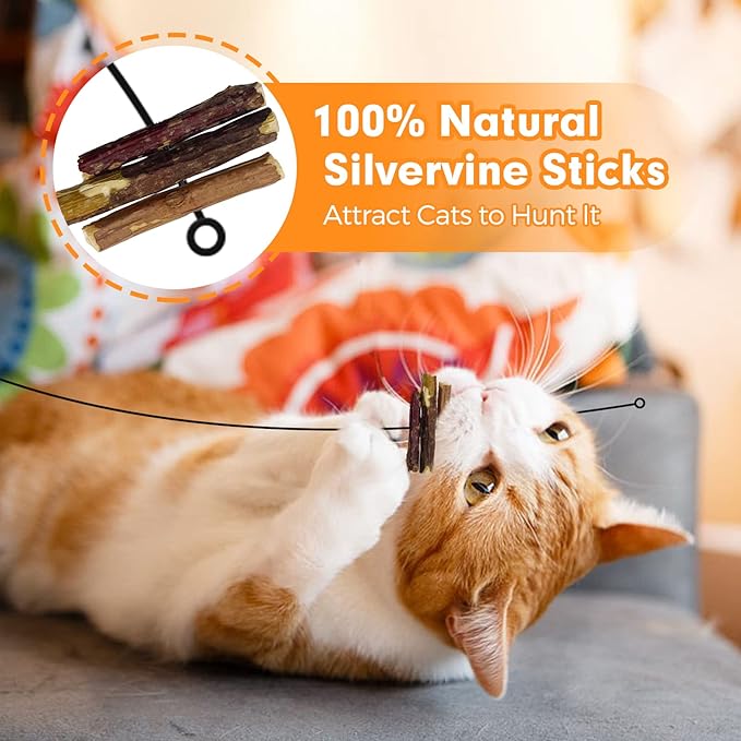 Cat Wand Toy, Cat Feather Toys with Silvervine & Bells, 2 * Cat Teaser Wand & 6 * Teaser Refills, Extra Long 38.5" Wire Cat Wand, Cat Toy for Indoor Cats & Kitten & Kitty