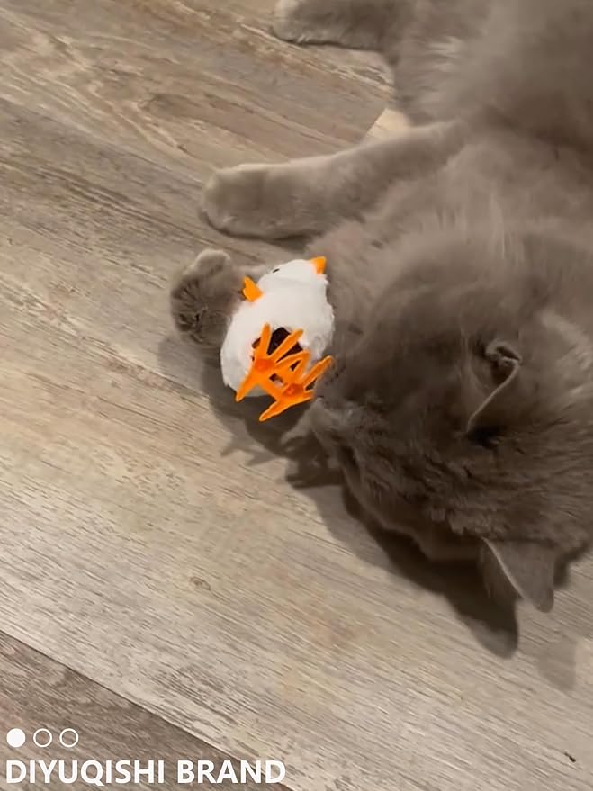 Cat Toys for Indoor Cats, 14 PCS Set with Wind-Up Chicken, Jingle Balls, and Catnip - Kitten Kitty Toy Pack for Playtime and Fun