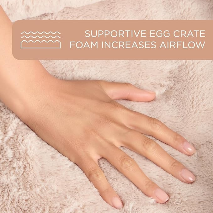 TOWN & COUNTRY EVERYDAY CuddleTown Comfy Solid Bolster Sofa Pet Bed, Supportive & Calming Egg Crate Foam, Water Repellent, Non-Slip Bottom, Machine Washable Cover, Cream, Medium 28"x23"x8"